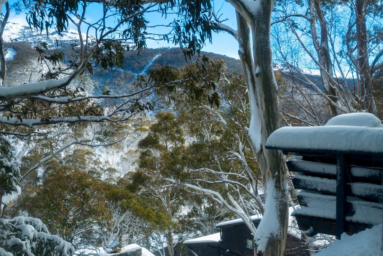 Pure Chalet Thredbo Exteriör bild