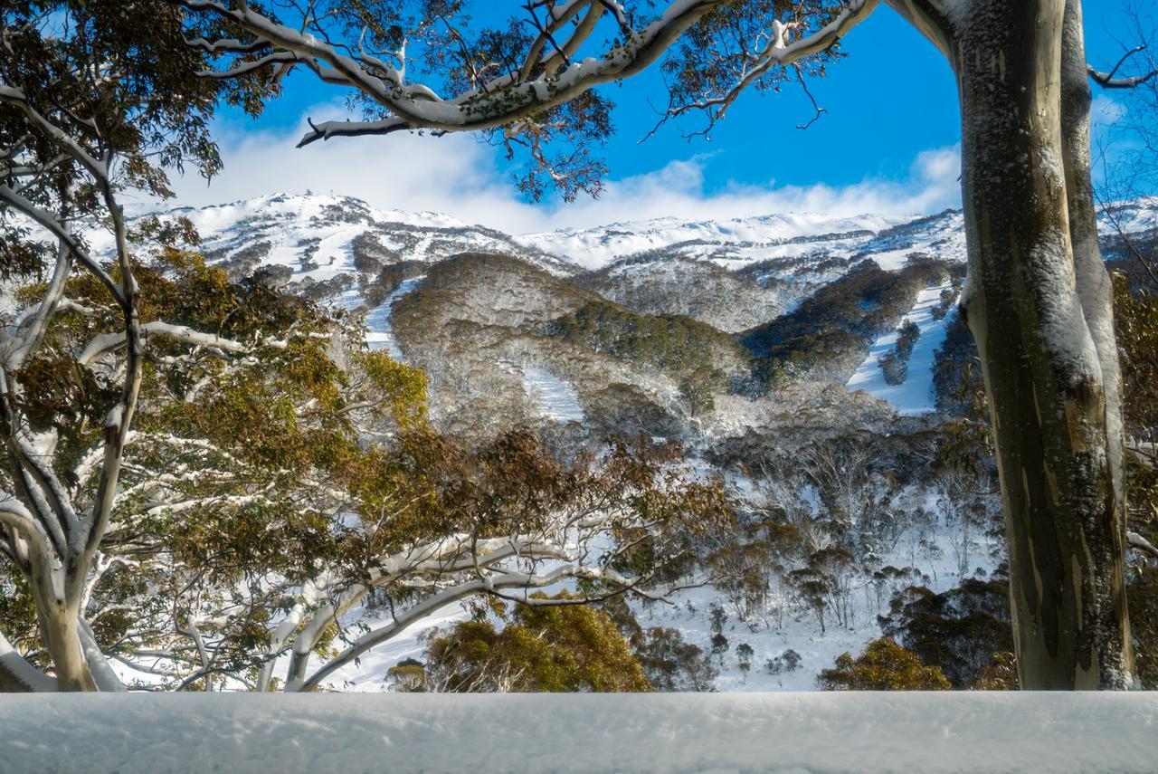Pure Chalet Thredbo Exteriör bild