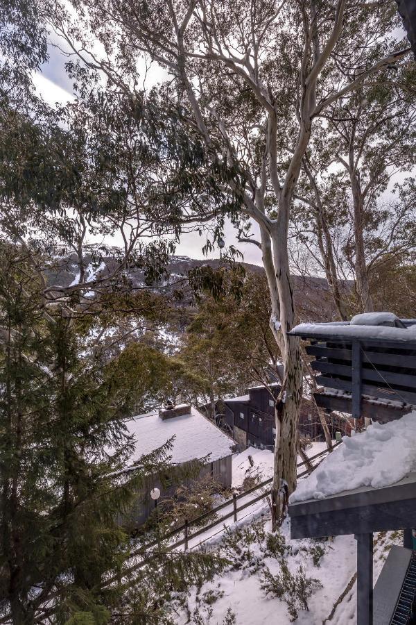 Pure Chalet Thredbo Exteriör bild