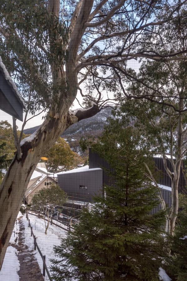 Pure Chalet Thredbo Exteriör bild